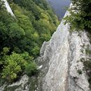 (2023-09-11) Rügen 2942 - Blick vom Königsstuhl-Skywalk