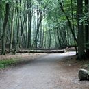 (2023-09-11) Rügen 2969 - Nationalpark Jasmund