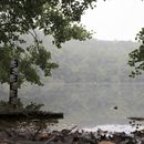 (2023-09-11) Rügen 2970 - Nationalpark Jasmund - Hertasee orig