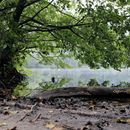 (2023-09-11) Rügen 2975 - Nationalpark Jasmund - Hertasee