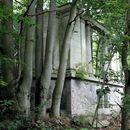 (2023-09-13) Rügen 3147 - Lost Places Dwarsieden