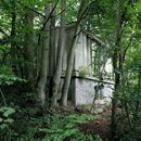 (2023-09-13) Rügen 3148 - Lost Places Dwarsieden