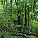 (2023-09-13) Rügen 3150 - Lost Places Dwarsieden