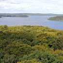 (2023-09-14) Rügen 3180 - Baumwipfelpfad in Prora