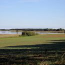 (2023-09-15) Rügen 3201 - Blick zur Neuendorfer Wiek