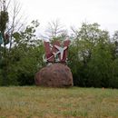 (2024-05-19) Pfingsten 3796 - Welzow - Straße der DSF