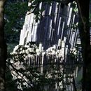 (2024-05-19) Pfingsten 3841 - Kromlau - Rakotzsee