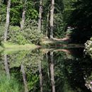 (2024-05-19) Pfingsten 3850 - Kromlau - Rakotzsee