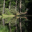 (2024-05-19) Pfingsten 3851 - Kromlau - Rakotzsee