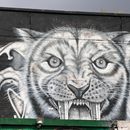 (2024-05-25) - 3937 - Grunewald - Teufelsberg mit Abhörstation; Graffity