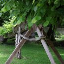 (2024-05-25) - 3948 - Glienicke - am Schloss