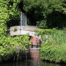 (2024-05-26) - 4008 - 7-Seen-Schiffstour - Kleiner Wannsee