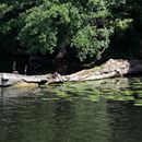 (2024-05-26) - 4017 - 7-Seen-Schiffstour - Pohlesee