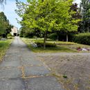 (2024-08-23) Schnappschüsse 132232-1 - Suche nach der Blümchenwiese