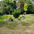 (2024-08-23) Schnappschüsse 132734 - Suche nach der Blümchenwiese