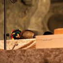 (2024-10-19) Schloss Goseck 3581 - Robert und Paula