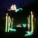 (2025-01-19) Lichterwelten Bergzoo Halle 4982