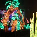 (2025-01-19) Lichterwelten Bergzoo Halle 4986