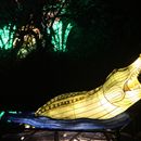 (2025-01-19) Lichterwelten Bergzoo Halle 4991