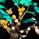 (2025-01-19) Lichterwelten Bergzoo Halle 5006