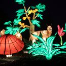 (2025-01-19) Lichterwelten Bergzoo Halle 5009