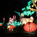 (2025-01-19) Lichterwelten Bergzoo Halle 5011