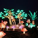 (2025-01-19) Lichterwelten Bergzoo Halle 5012