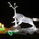 (2025-01-19) Lichterwelten Bergzoo Halle 5018