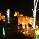 (2025-01-19) Lichterwelten Bergzoo Halle 5021