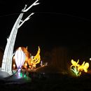 (2025-01-19) Lichterwelten Bergzoo Halle 5029