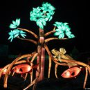 (2025-01-19) Lichterwelten Bergzoo Halle 5050