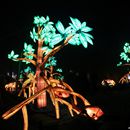 (2025-01-19) Lichterwelten Bergzoo Halle 5052