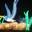 (2025-01-19) Lichterwelten Bergzoo Halle 5073