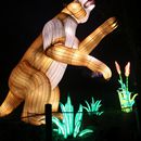 (2025-01-19) Lichterwelten Bergzoo Halle 5079