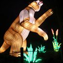 (2025-01-19) Lichterwelten Bergzoo Halle 5081