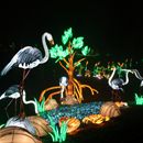 (2025-01-19) Lichterwelten Bergzoo Halle 5084