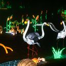 (2025-01-19) Lichterwelten Bergzoo Halle 5087