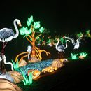 (2025-01-19) Lichterwelten Bergzoo Halle 5090