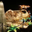 (2025-01-19) Lichterwelten Bergzoo Halle 5113