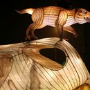 (2025-01-19) Lichterwelten Bergzoo Halle 5116