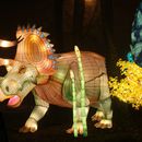 (2025-01-19) Lichterwelten Bergzoo Halle 5123