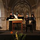 (2025-06-21) Montalbane - La Morra 0411
