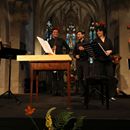 (2025-06-21) Montalbane - La Morra 0429