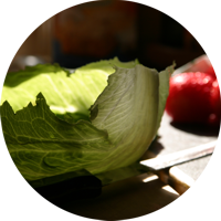 Stillleben mit Eisbergsalat und Tomaten